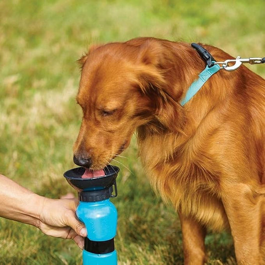 Pet Sipper Portable Aqua Fresh Water Pump Bowl Bottle Mug Cup for Pet